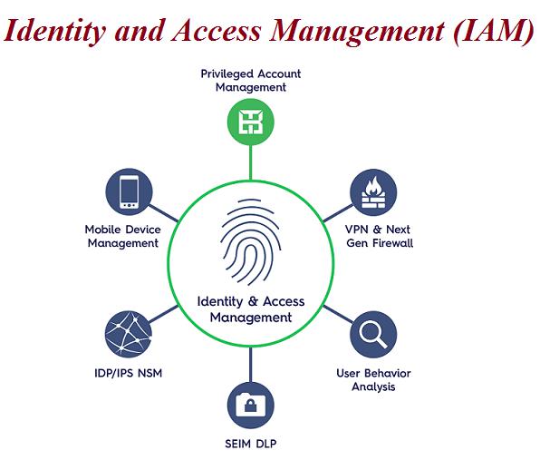 what is identity and access management (iam)