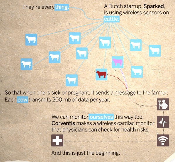 Infographic on wireless sensors monitoring cattle health and data transmission.