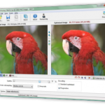 A side-by-side comparison of two images of a red parrot,displayed in an image editing software interface.