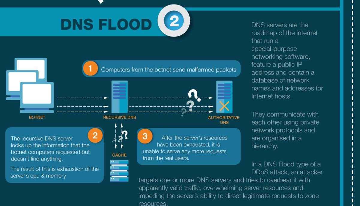 Infographic explaining DNS Flood attacks and their impact on servers.