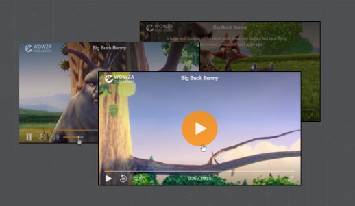 Screenshots of the video player interface showing scenes from the animated short film 'Big Buck Bunny'.