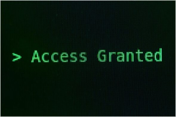 Green text on a dark background displaying 'Access Granted'