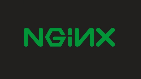 The logo of NGINX,displayed in green letters on a dark background.