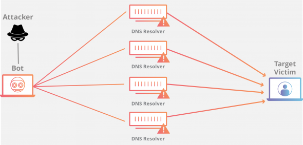 Diagram illustrating a DNS attack involving an attacker, bot, and target victim.