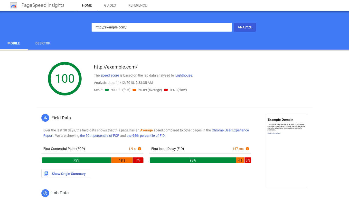 A screenshot of Google PageSpeed Insights showing a score of 100 for a website.