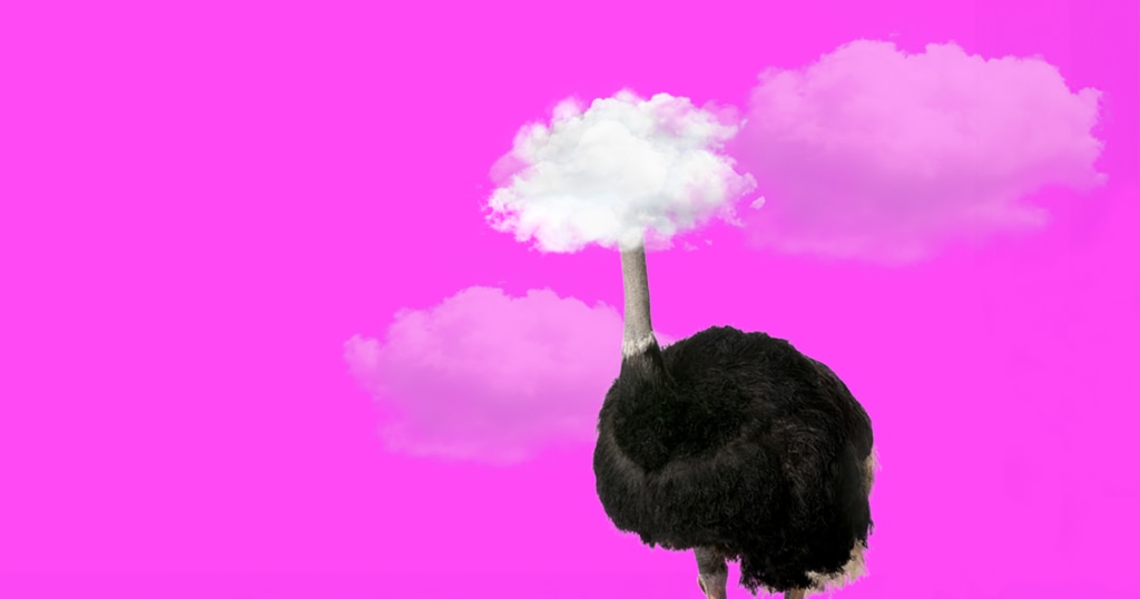 An ostrich with a cloud on its head against a pink background.