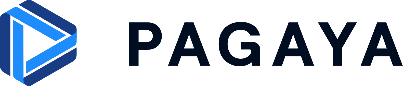 Pagaya is a financial technology company using AI to improve credit analysis, enabling better decision-making for banks and lenders.