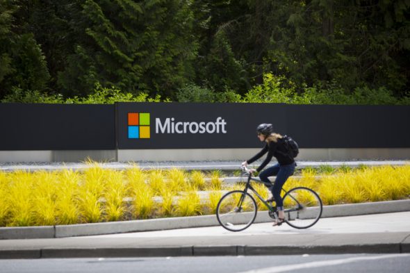 A person riding a bicycle past a Microsoft sign surrounded by greenery and ornamental grass.