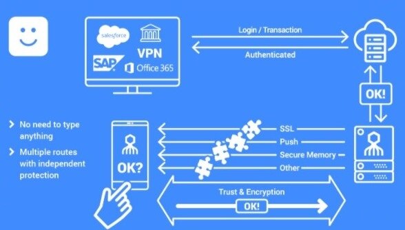 Diagram illustrating secure authentication with multiple protection routes.