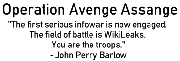 Text from John Perry Barlow about WikiLeaks and internet activism.